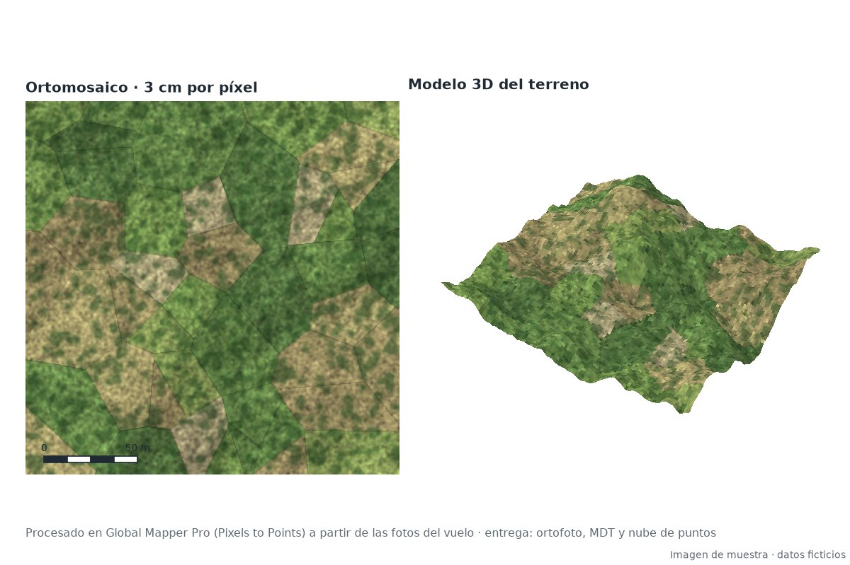 Ortomosaico de dron y modelo 3D del terreno